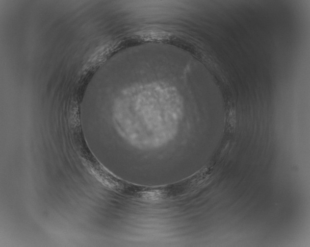 X0000076300411200610201552