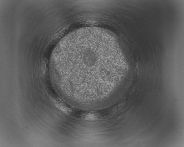 X0000076300412200610201552