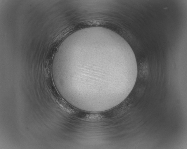 X0000076300414200610201552