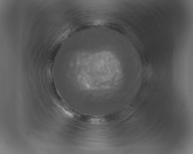 X0000076300415200610201551