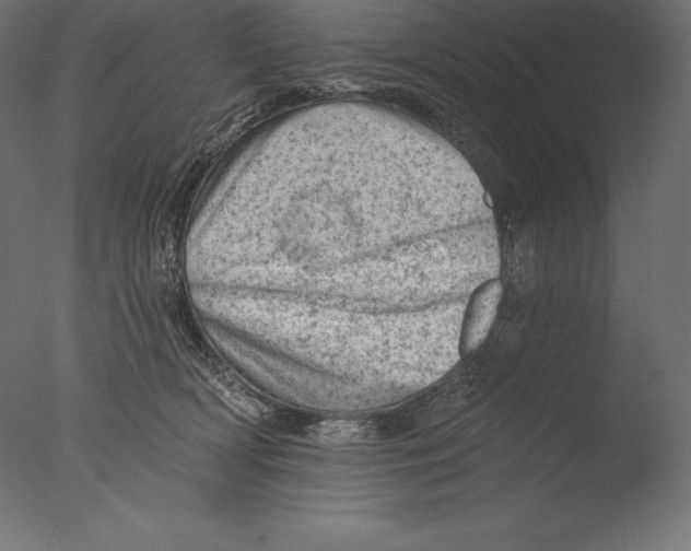 X0000076300418200610201551