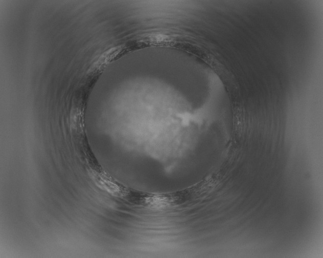 X0000076300419200610201551