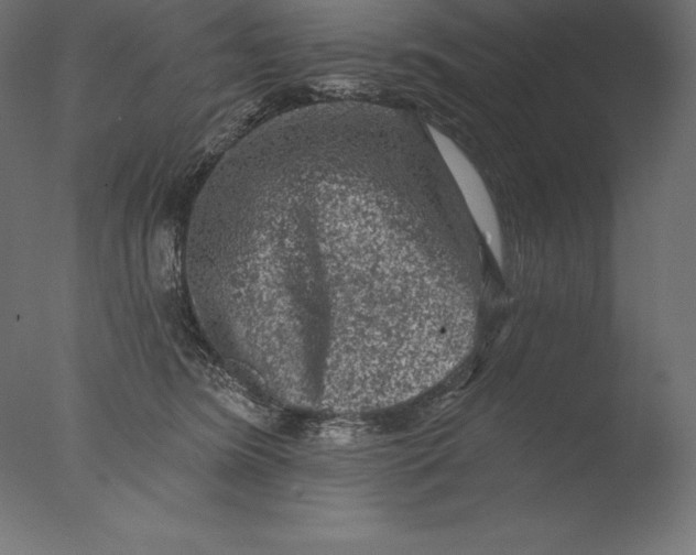 X0000076300420200610201551