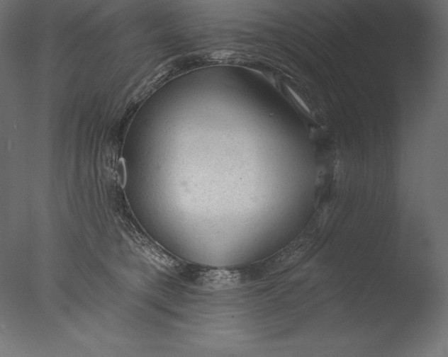 X0000076300421200610201551