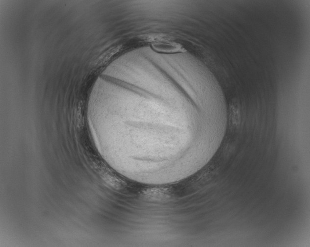 X0000076300422200610201551