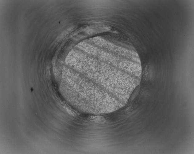 X0000076300424200610201551