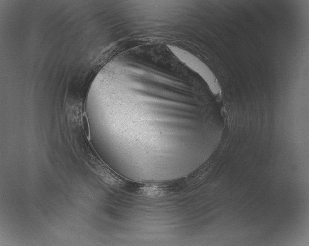 X0000076300425200610201551