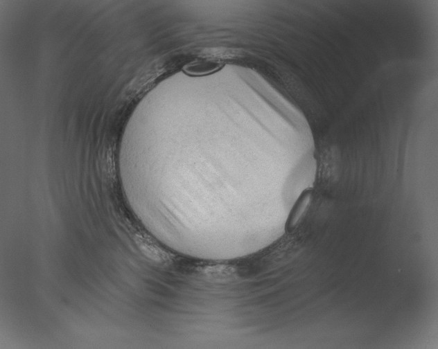 X0000076300426200610201551