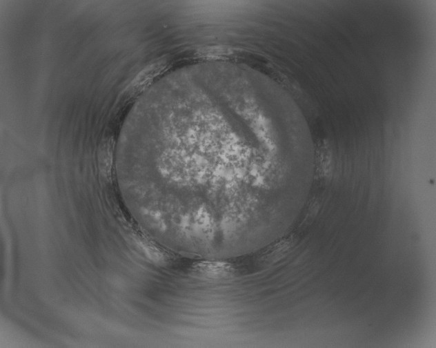 X0000076300427200610201551