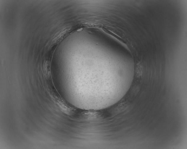 X0000076300428200610201551