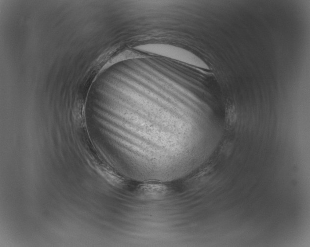 X0000076300429200610201551