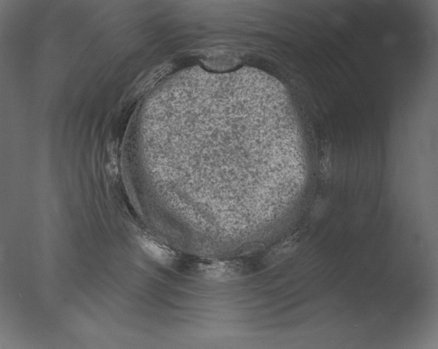 X0000076300430200610201551