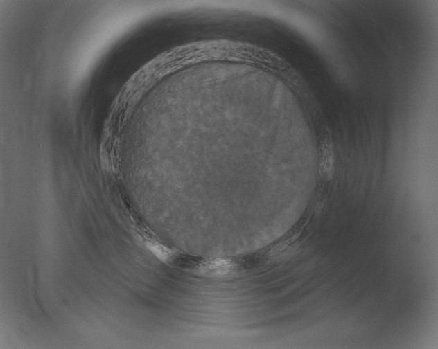 X0000076300431200610201551