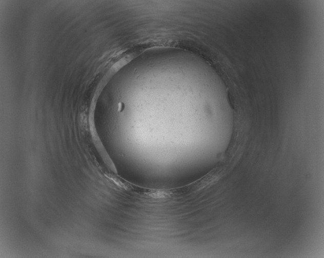 X0000076300432200610201551