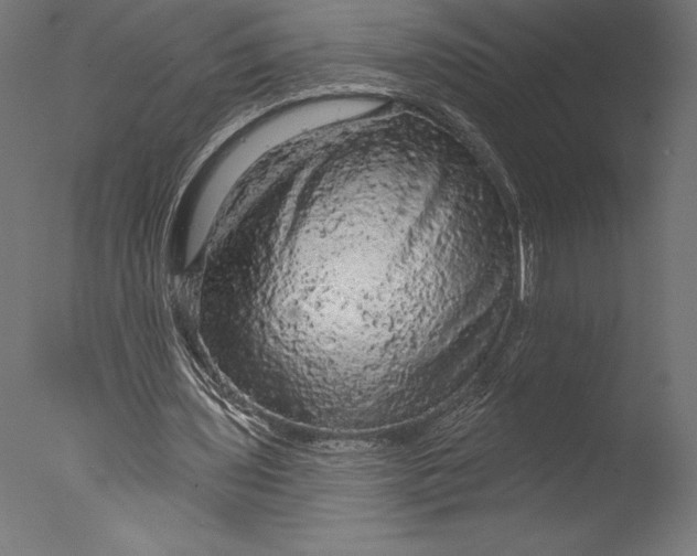 X0000076300435200610201550