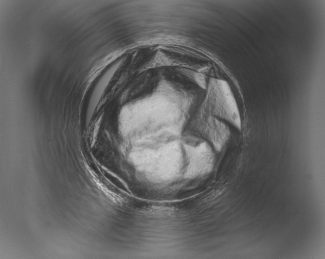 X0000076300437200610201550