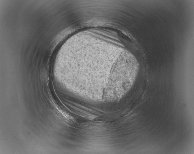 X0000076300438200610201550