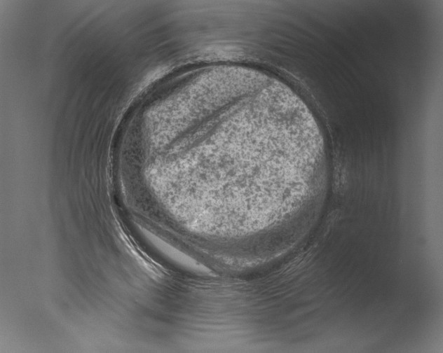 X0000076300439200610201551