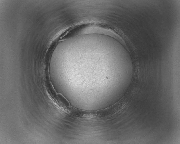 X0000076300440200610201551