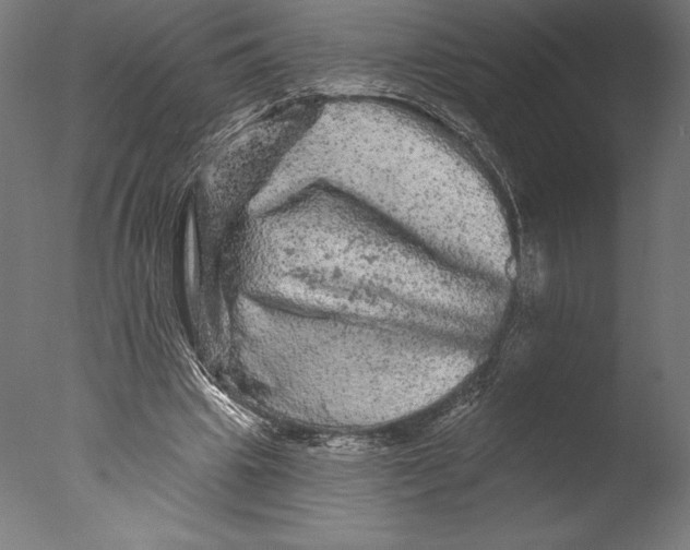 X0000076300441200610201551