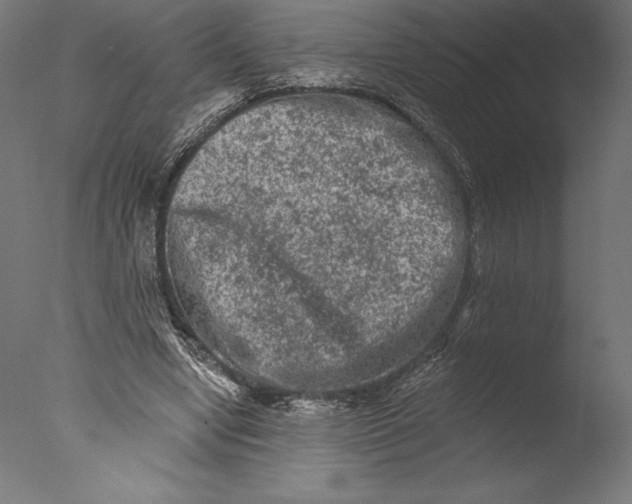 X0000076300442200610201551