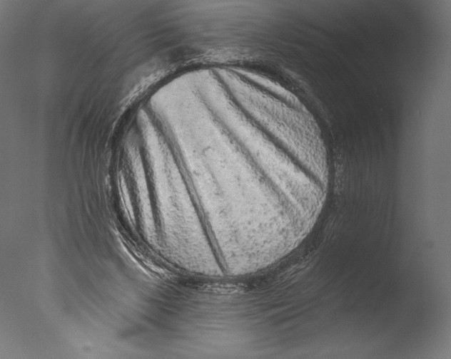 X0000076300443200610201551