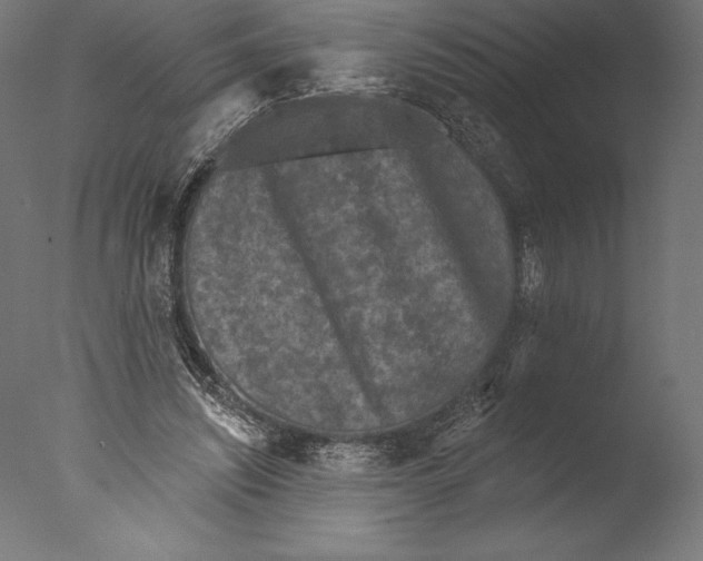 X0000076300444200610201551