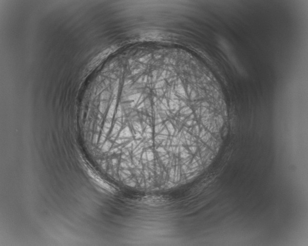 X0000076300445200610201551