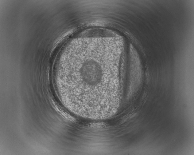 X0000076300446200610201551