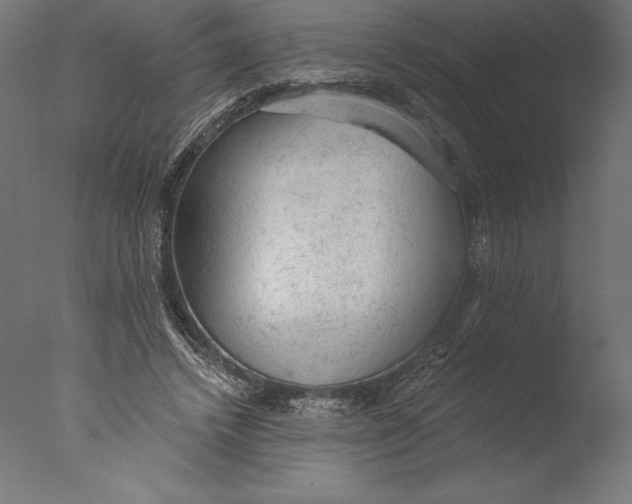 X0000076300448200610201551