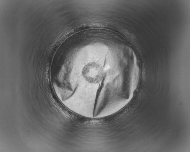 X0000076300449200610201551