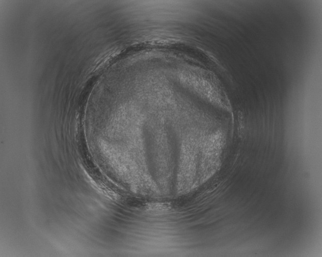 X0000076300451200610201551