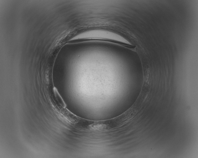 X0000076300452200610201551