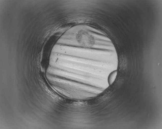 X0000076300453200610201551