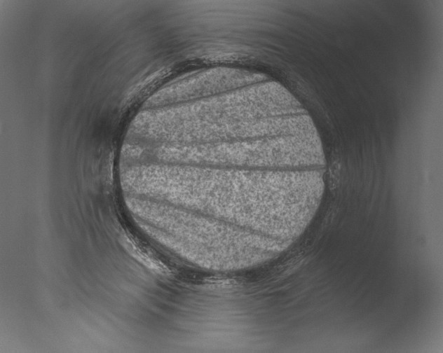 X0000076300454200610201551