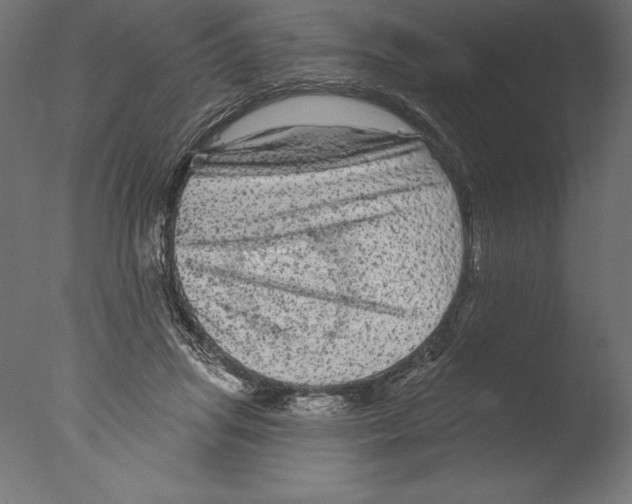 X0000076300455200610201551