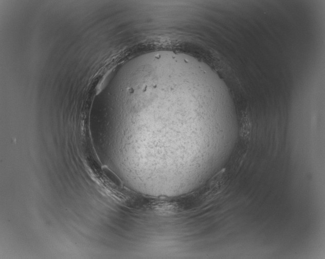 X0000076300456200610201551