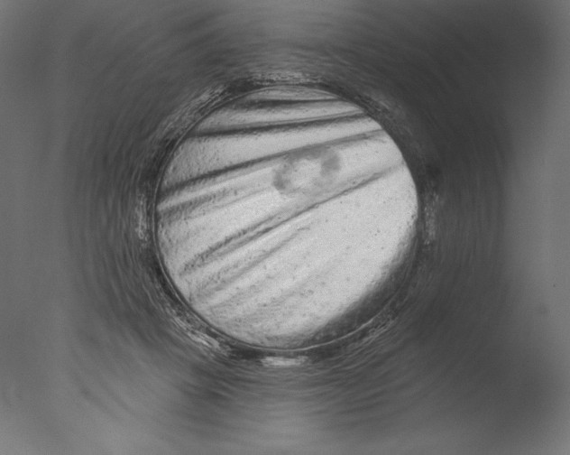 X0000076300457200610201551