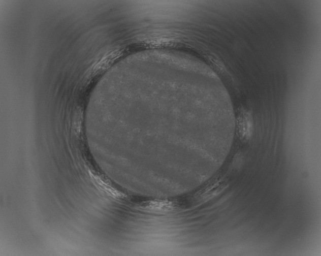 X0000076300458200610201551