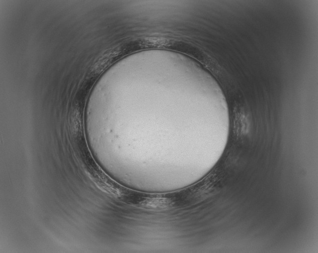 X0000076300459200610201551