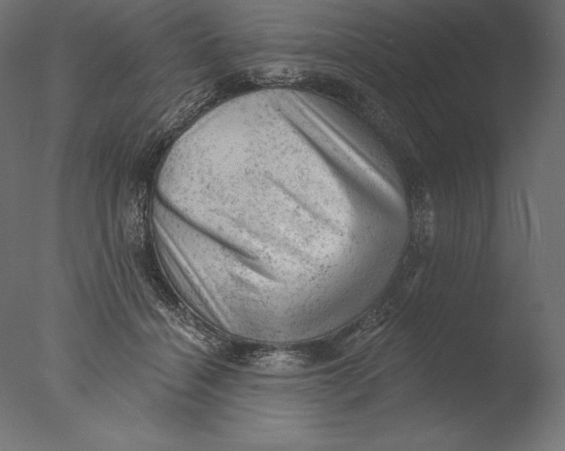 X0000076300460200610201551