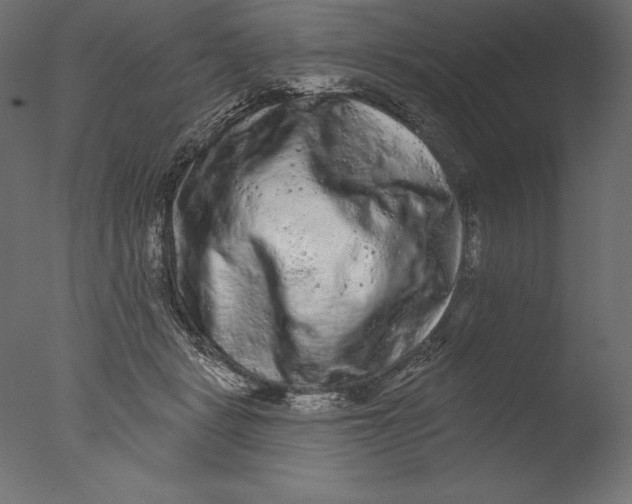 X0000076300461200610201551