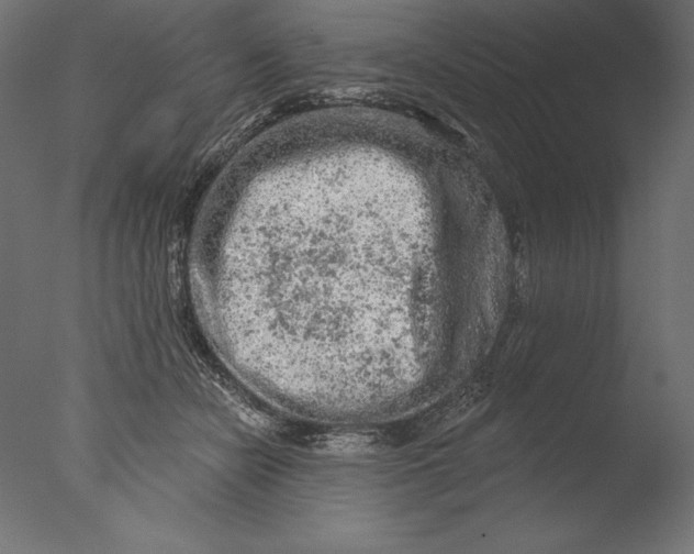 X0000076300462200610201551