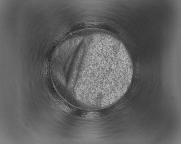 X0000076300463200610201551