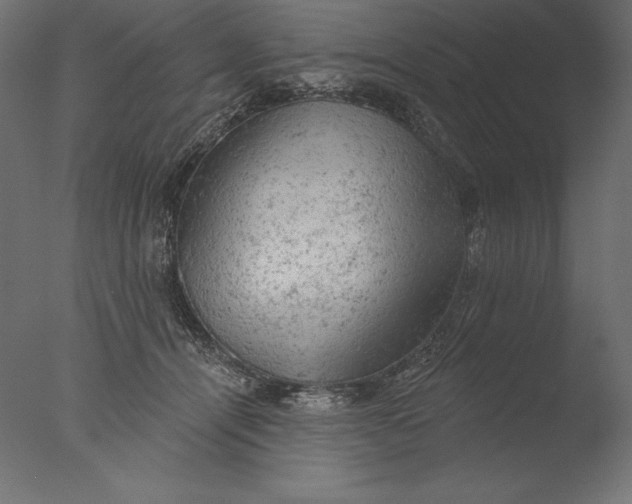 X0000076300464200610201551