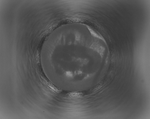 X0000076300465200610201551