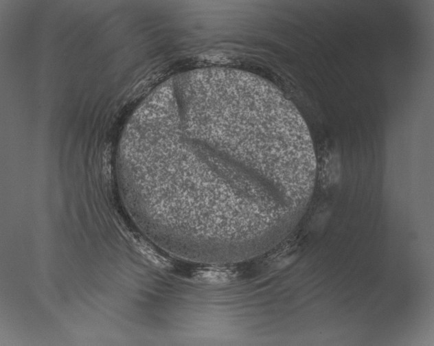 X0000076300466200610201551