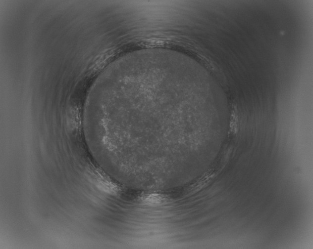 X0000076300467200610201551