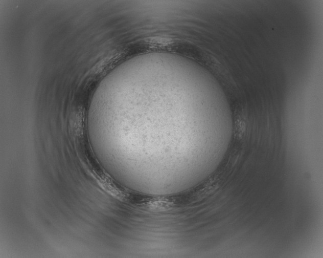 X0000076300468200610201551