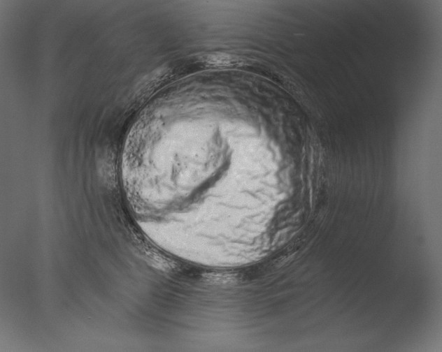 X0000076300469200610201551